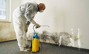 Reliable Slater, IA Mold Remediation Solutions